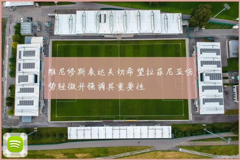维尼修斯表达关切希望拉菲尼亚伤势轻微并强调其重要性