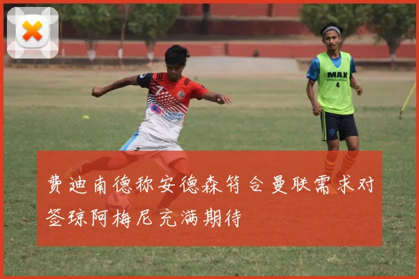 费迪南德称安德森符合曼联需求对签琼阿梅尼充满期待